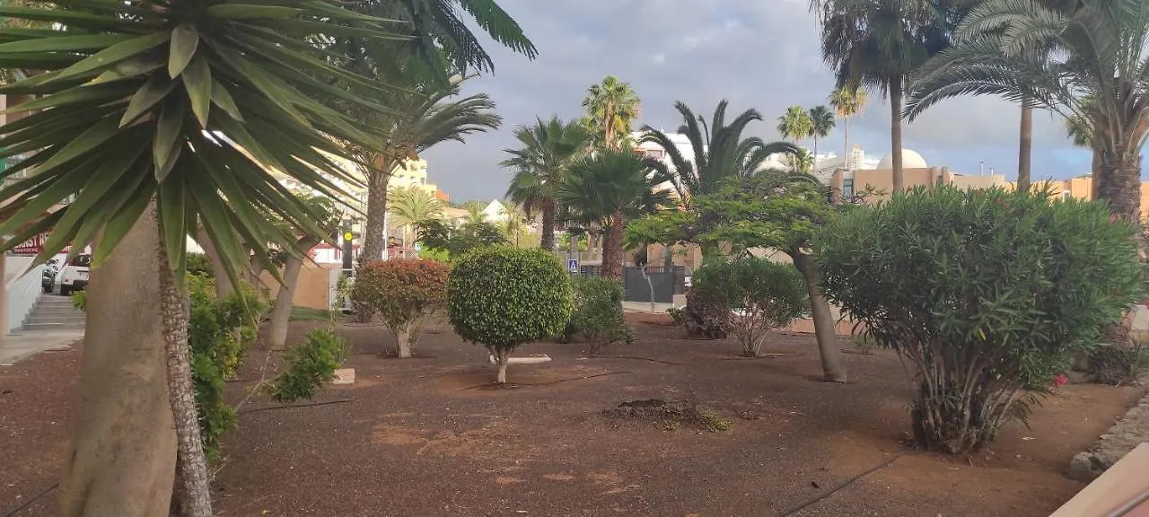 Apartment Acapulco Paradise Playa Fanabe Spain
